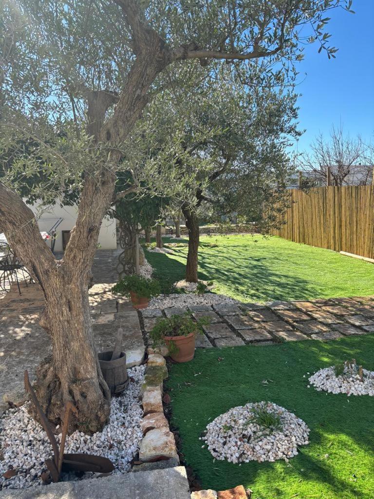 Trullo Vacanza อัลเบโรเบลโล ภายนอก รูปภาพ