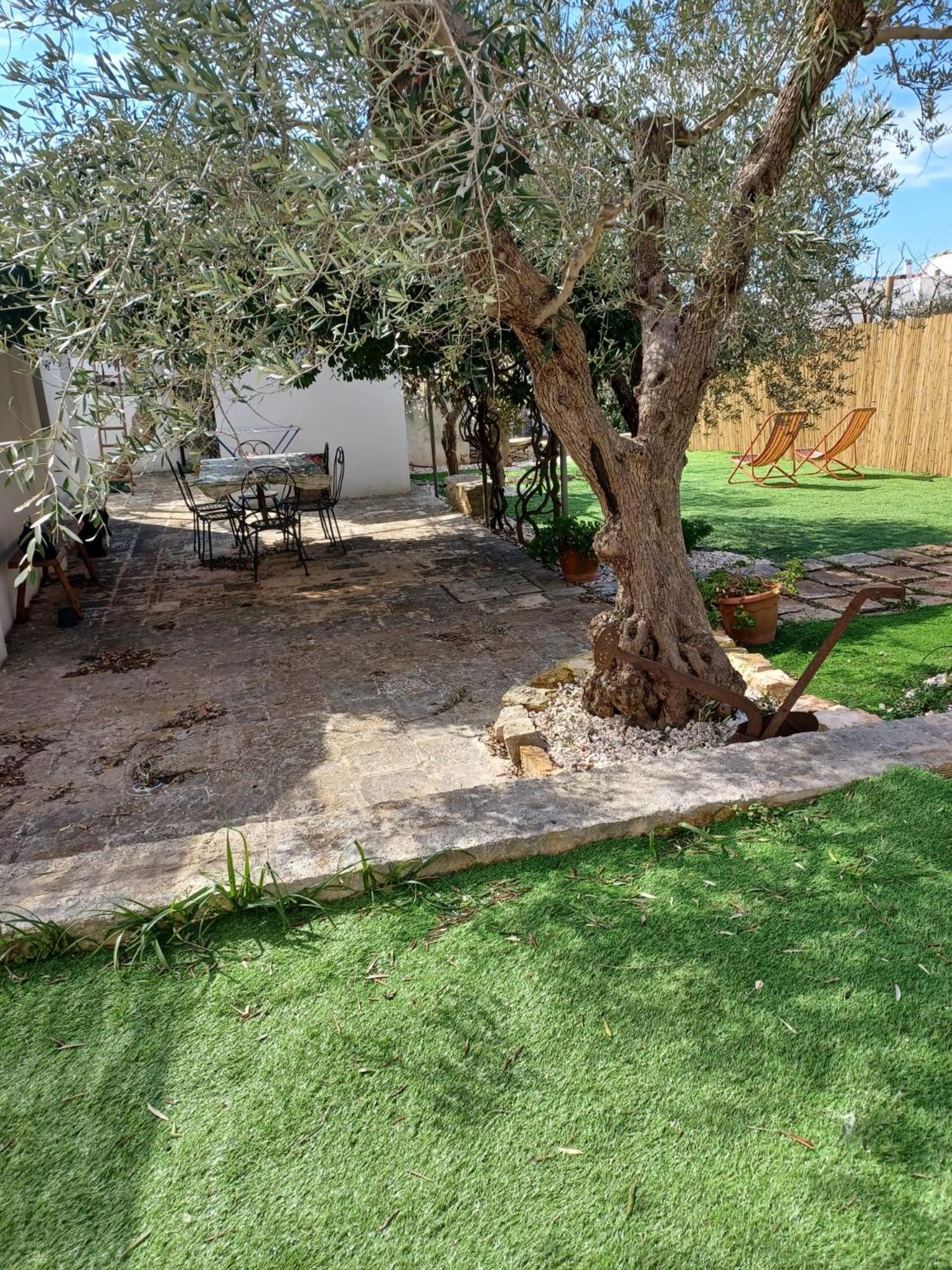 Trullo Vacanza อัลเบโรเบลโล ภายนอก รูปภาพ
