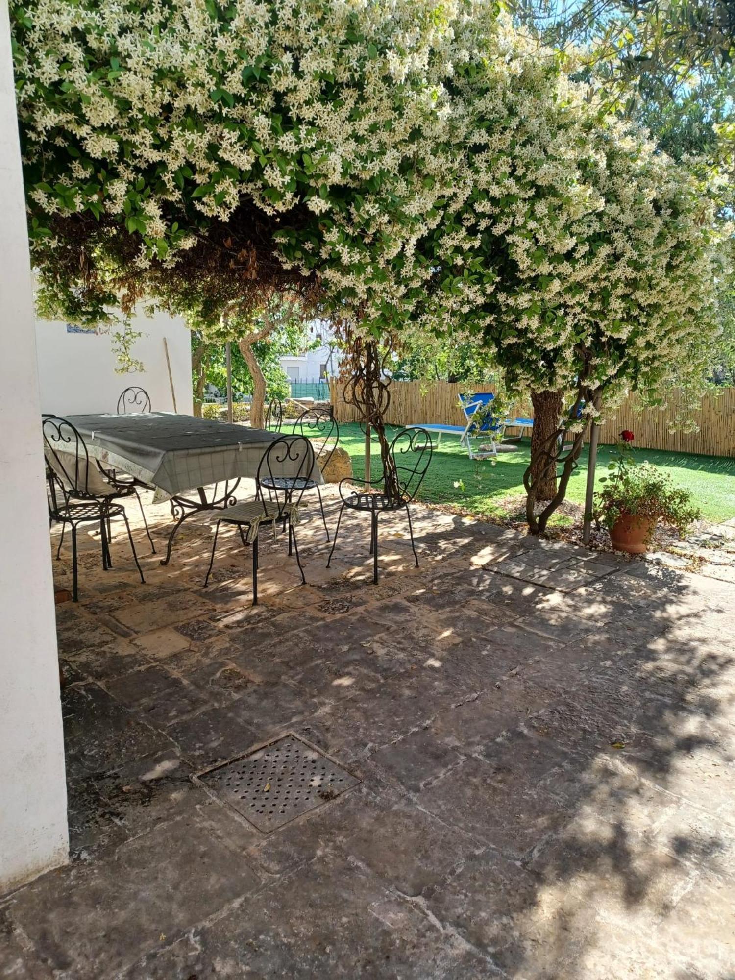 Trullo Vacanza อัลเบโรเบลโล ภายนอก รูปภาพ