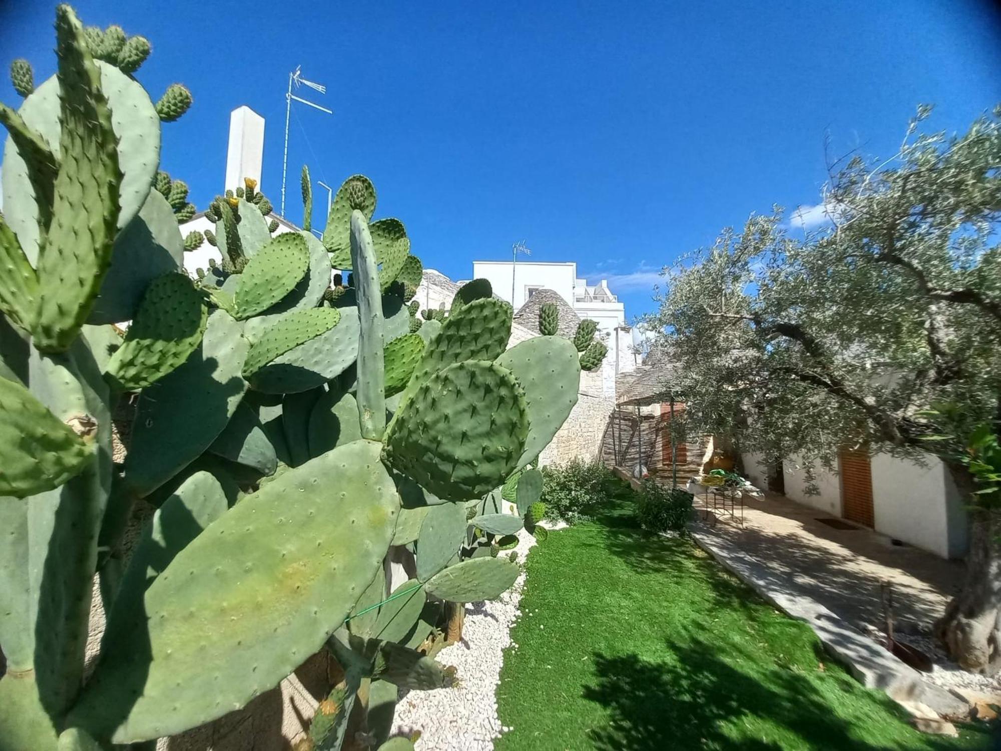 Trullo Vacanza อัลเบโรเบลโล ห้อง รูปภาพ
